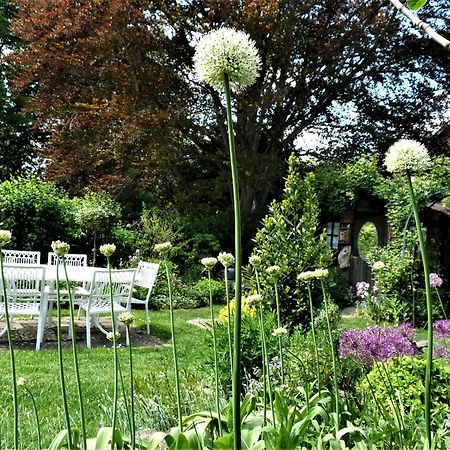 Le Jardin Des Miroirs Panzió Esneux Kültér fotó