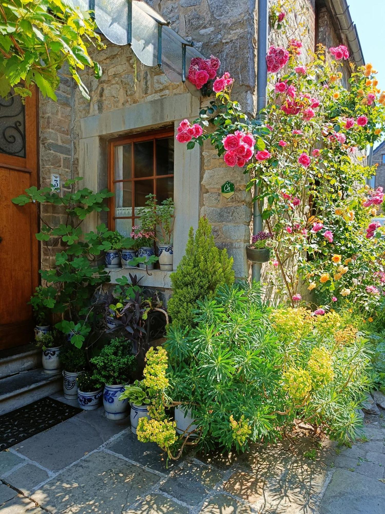Le Jardin Des Miroirs Panzió Esneux Kültér fotó